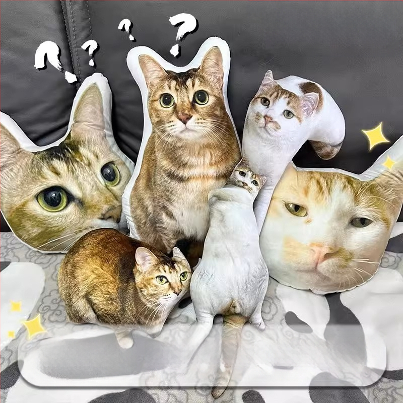 Tulnuka isetegemise Buddha väike kaaslane 3D-padi ilma ääriseta prinditav foto ilma valge servata naljakas liivaskulptuuri nukutehase kohandamine