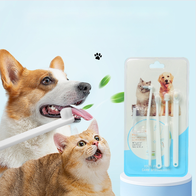 Καθαρισμός δοντιών για γάτες Σετ δακτύλων καθαρισμού κατοικίδιων Βούρτσισμα δοντιών για σκύλους Κακοσμία του στόματος Στολή οδοντόβουρτσας Δόντια Λίθοι Δόντια Στοματική κοιλότητα