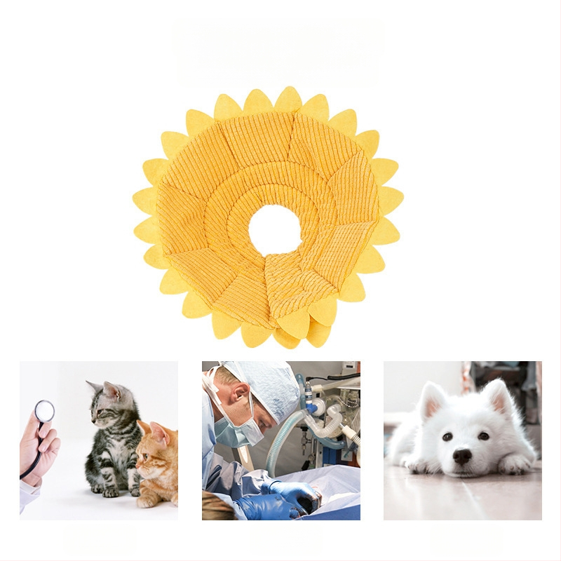 Napraforgó Erzsébet-korabeli nyakörv macskáknak és kutyáknak, karcolásgátló és harapás elleni fejfedő, puha macskanyakörv, szégyenkör