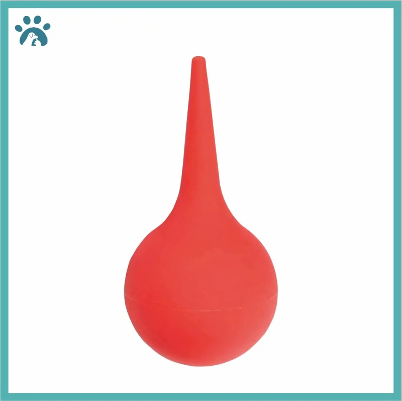 Lootevee imemine Kass Lemmikloom Kass Nina imemine Kutsikas Lämbumine Veega päästmine Lootevee pumpamine Kraavid