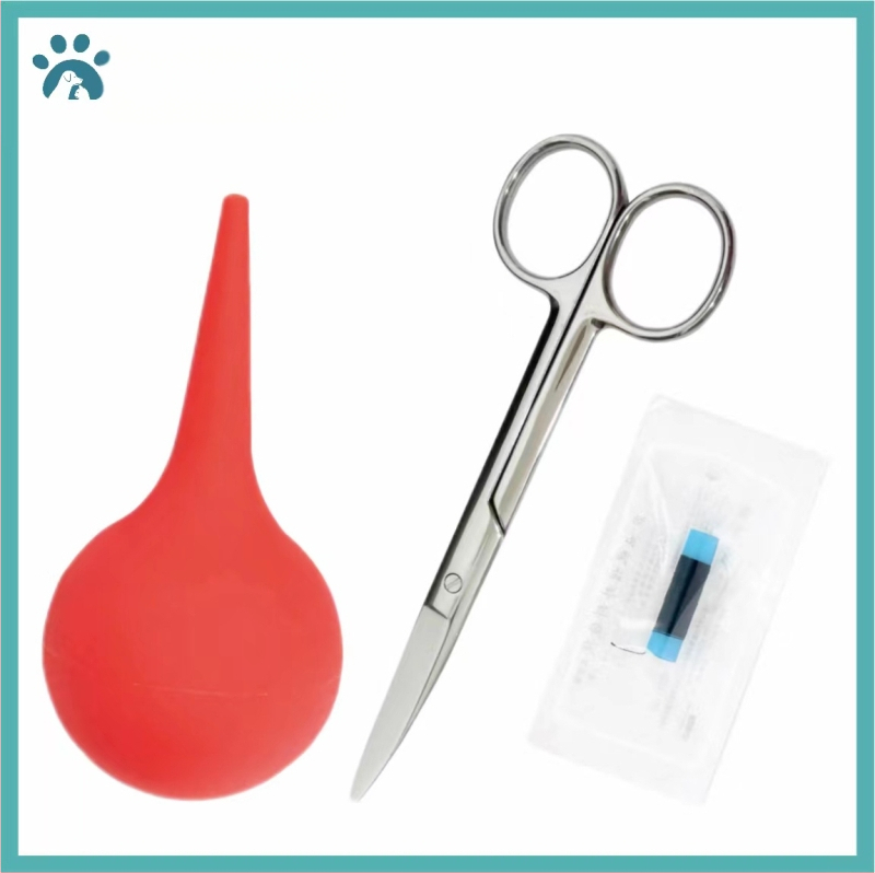 Lootevee imemine Kass Lemmikloom Kass Nina imemine Kutsikas Lämbumine Veega päästmine Lootevee pumpamine Kraavid