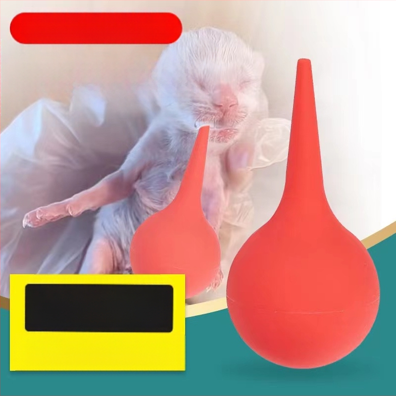 Lootevee imemine Kass Lemmikloom Kass Nina imemine Kutsikas Lämbumine Veega päästmine Lootevee pumpamine Kraavid