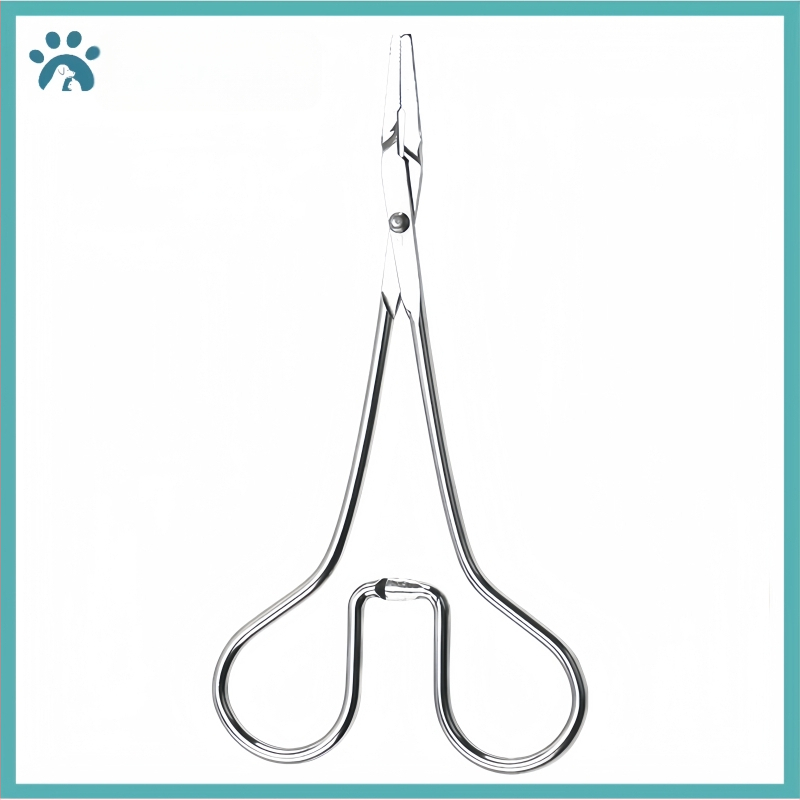 Lootevee imemine Kass Lemmikloom Kass Nina imemine Kutsikas Lämbumine Veega päästmine Lootevee pumpamine Kraavid