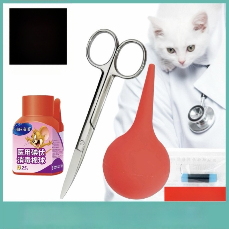 Lootevee imemine Kass Lemmikloom Kass Nina imemine Kutsikas Lämbumine Veega päästmine Lootevee pumpamine Kraavid