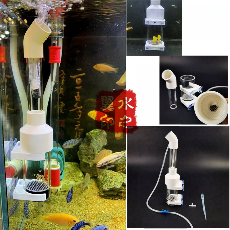 Tarpvalstybinis sandėlyje - 50 mm žuvų ikrų inkubatorius, trijų ežerų cichlidų žuvų ikrų heterotipas, bentosinės dekoratyvinės žuvys, tropinių žuvų veisimas