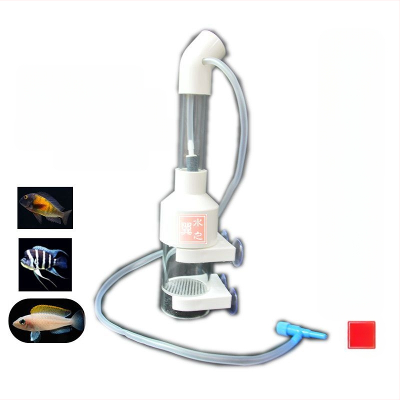 Tarpvalstybinis sandėlyje - 50 mm žuvų ikrų inkubatorius, trijų ežerų cichlidų žuvų ikrų heterotipas, bentosinės dekoratyvinės žuvys, tropinių žuvų veisimas