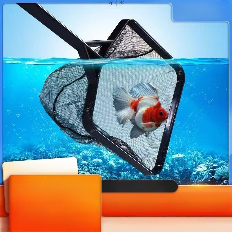 Kalapaagi kalavõrk kalapüügiks multifunktsionaalne akvaariumi koopiavõrk ruudukujuline sissetõmmatav roostevabast terasest ei kahjusta kalavõrgu tehast
