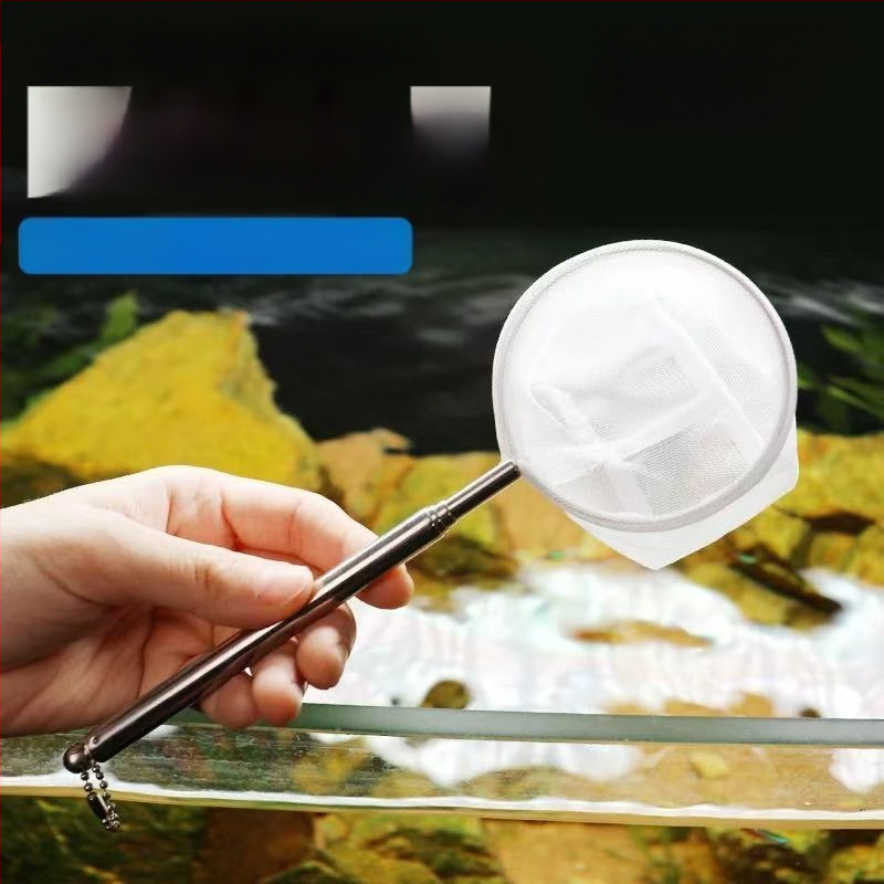 Kalapaagi kalavõrk kalapüügiks multifunktsionaalne akvaariumi koopiavõrk ruudukujuline sissetõmmatav roostevabast terasest ei kahjusta kalavõrgu tehast