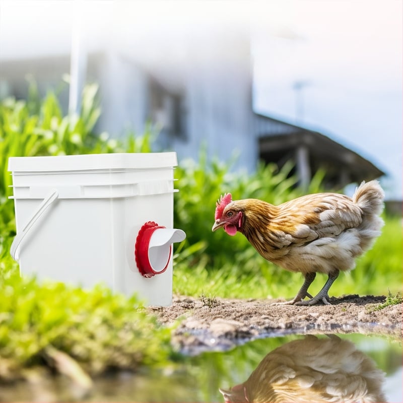 Linnukasvatuse söötja vihmakindel automaatne söötja kana-pardisöötja ämber gravitatsiooniküna jootur Amazoni hulgimüük