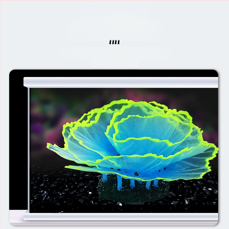 Akvaariumikaunistused, kaunistused, kalapaak, haljastus, korallide simulatsioon, salat, korall, helendav veealune maailm, väike maastik