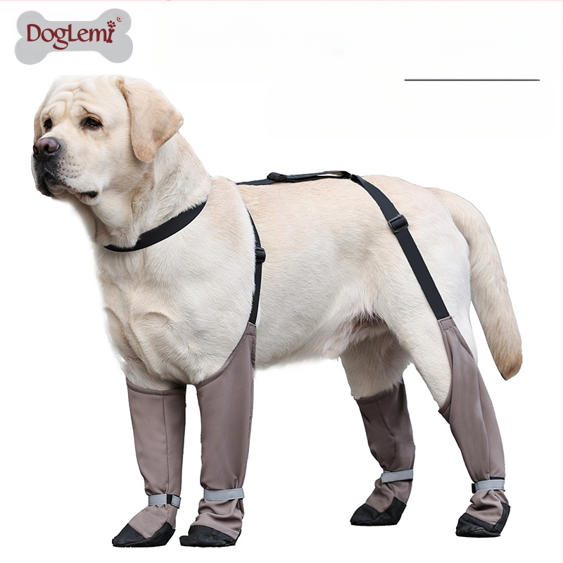 Naminių gyvūnėlių šunų batai, apsaugantys nuo purvo, apsaugantys nuo kritimo, dirželiai, šilti auksaspalvio retriverio šunų batai, naminių gyvūnėlių reikmenys, apsaugantys nuo purvo išeinant į lauką