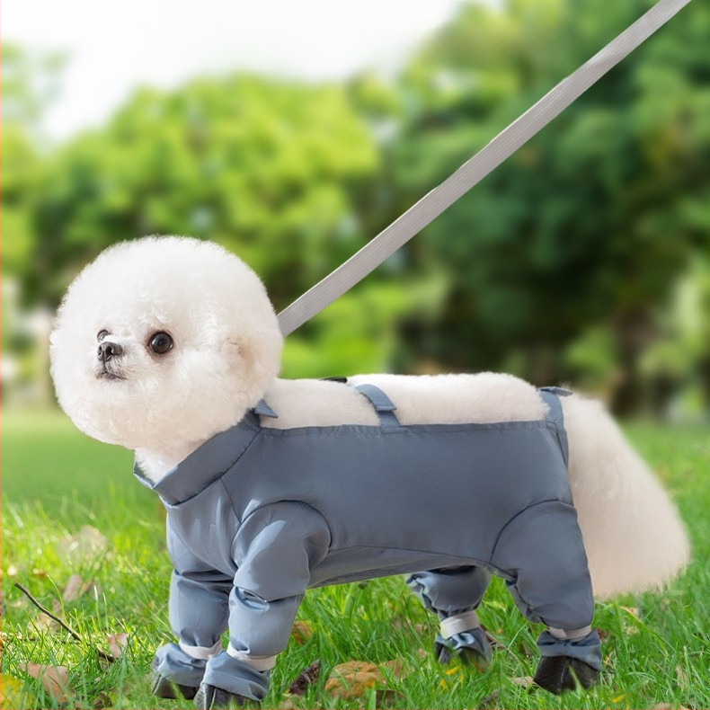Psi za van Odjeća otporna na prljavštinu Tople hlače za vuču Odjeća za četveronožce s plišanim medvjedićima Vodootporna navlaka za noge za male pse Bichon za van Seoska odjeća