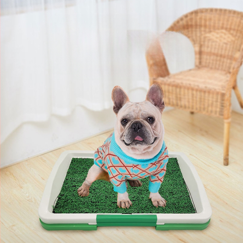 Naminių šunų tualetas, vidutinio dydžio, mažo šuns, dirbtinė veja, tuštinimosi valymas, apsaugantis nuo laiptų, šiukšlių puodas, skirtas pisuarui