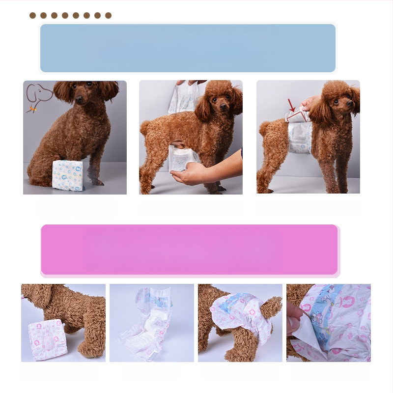 Χάρτινα παντελόνια για κατοικίδια για σκύλους, ειδικά για θηλυκά σκυλιά σε έξαρση, φυσιολογικά προστατευτικά παντελόνια για την αποφυγή εγκυμοσύνης, προϊόντα υγιεινής για αρσενικά σκυλιά Teddy, αδιάβροχα