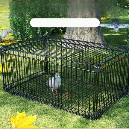 Tianluo puuri krüptimine Ainult sisenemine keelatud Tuvi puuri tabamus Ukse puuri aasauks Automaatne taastumine Tuvi artefakt