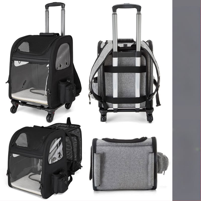Geantă de cărucior pentru animale de companie, rucsac, geantă portabilă pentru pisici, geantă pentru câini, geantă de vară respirabilă, capacitate mare, extensibilă, geantă pentru animale de companie