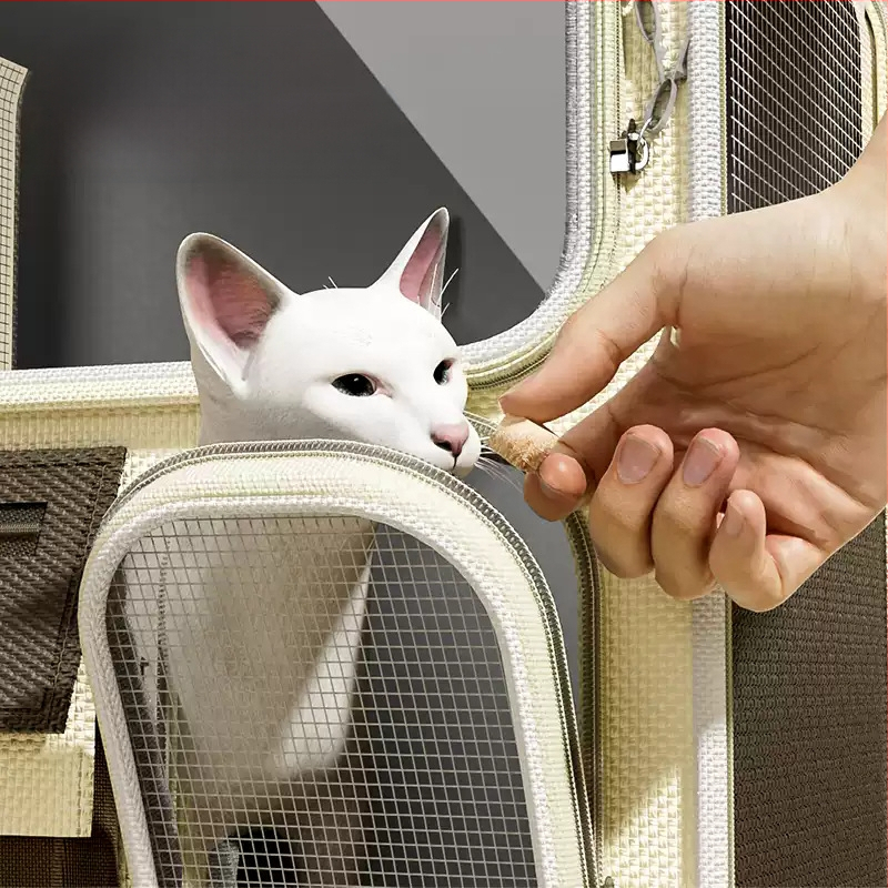 Macskatáska Kimenő hordozható macska hátizsák kisállat hátizsák iskolatáska utazó lélegző húzórúd kutyáknak nagy kapacitású macskadoboz