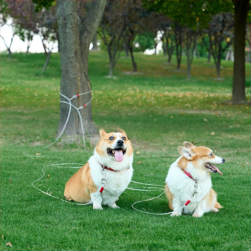 Amazoni koerarihma köis koerarihm lemmiklooma rihm koerarihm autorihm koerarihm hammustusvastane paks tugev kett