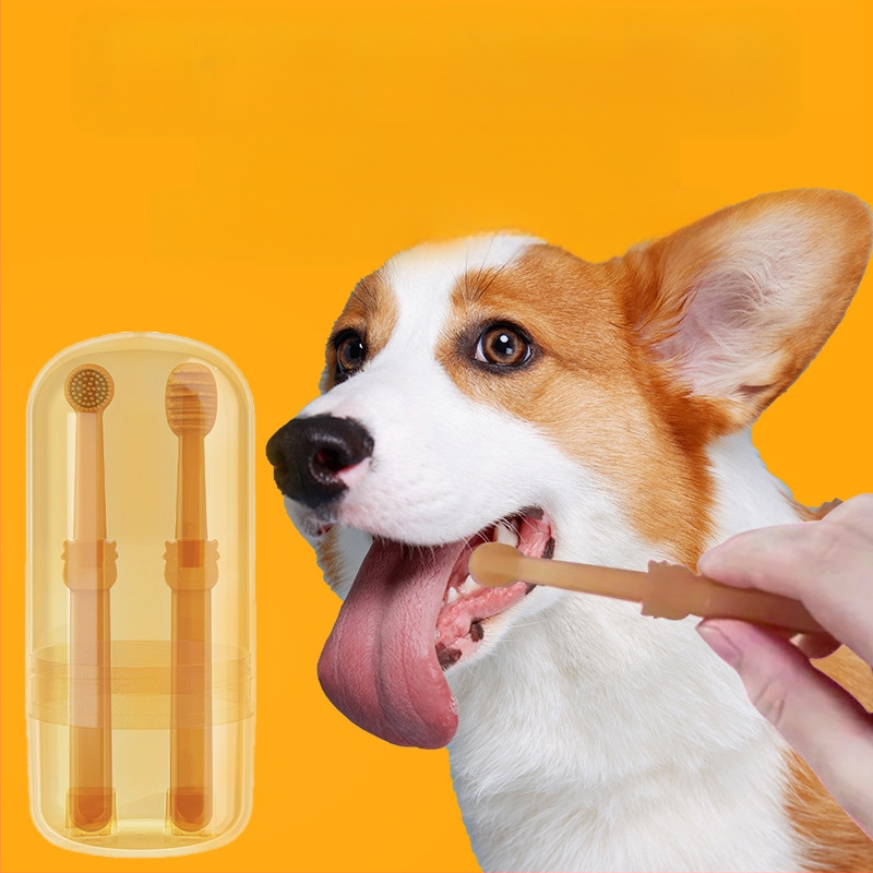 Kassi silikoonist hambahari Koera hambaharja komplekt Lemmiklooma hambaharja artefakt Kassi hammaste puhastusvahendid kivi hulgimüügiks