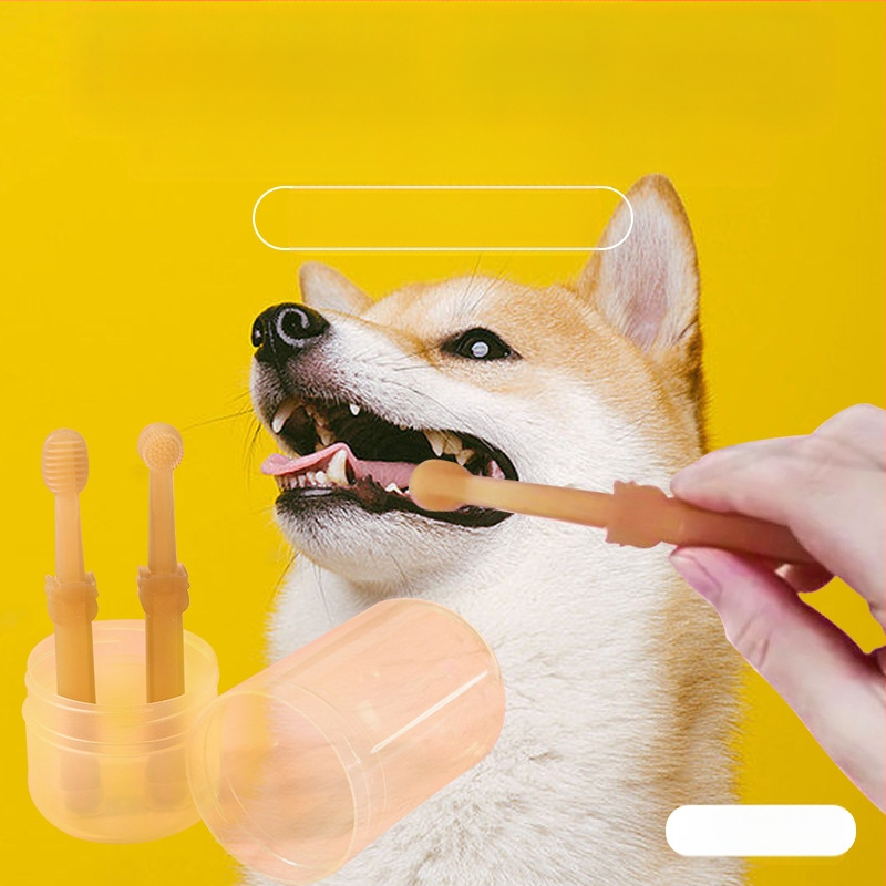 Kassi silikoonist hambahari Koera hambaharja komplekt Lemmiklooma hambaharja artefakt Kassi hammaste puhastusvahendid kivi hulgimüügiks