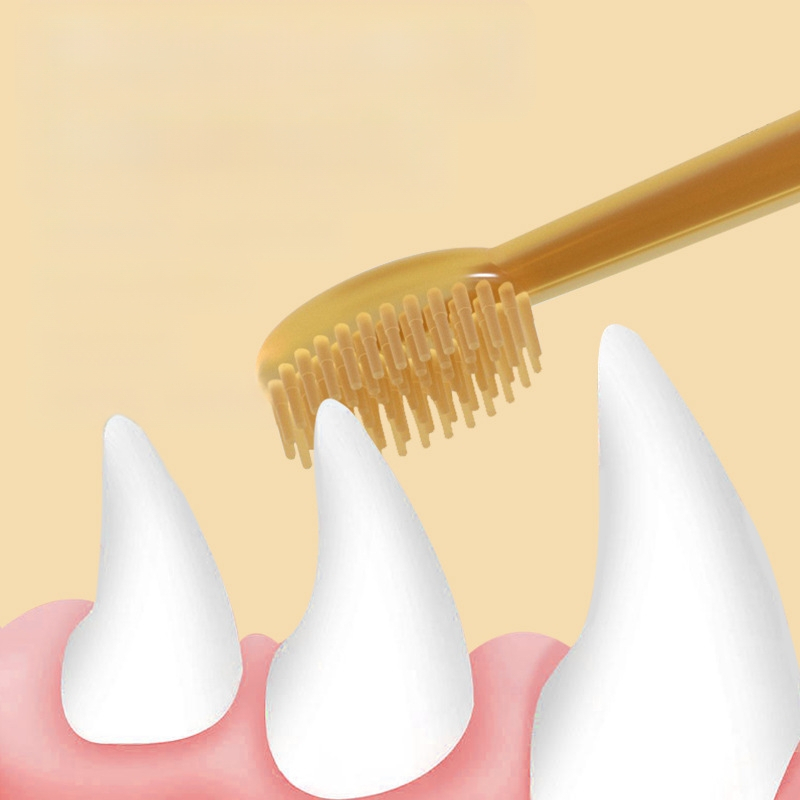 Kassi silikoonist hambahari Koera hambaharja komplekt Lemmiklooma hambaharja artefakt Kassi hammaste puhastusvahendid kivi hulgimüügiks