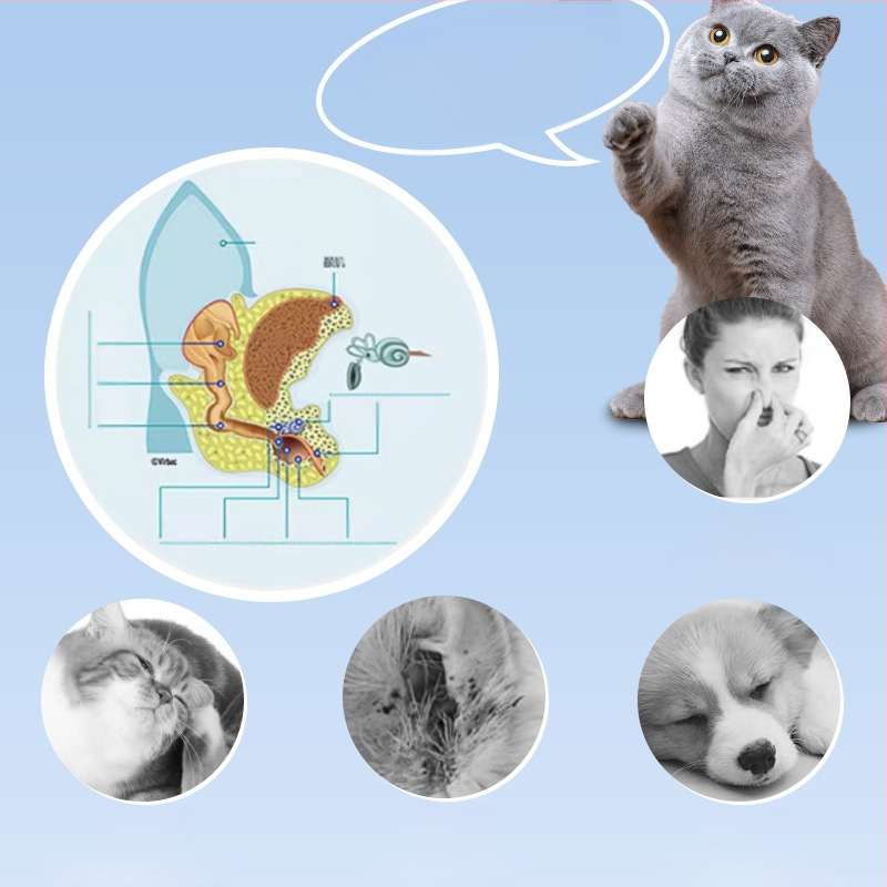 Atidarykite „Yan“ augintinių ausų valymo vatos pagaliuką, skirtą ausų erkėms valyti, vatos tamponas, skirtas augintinių ausų ir šunų ausims