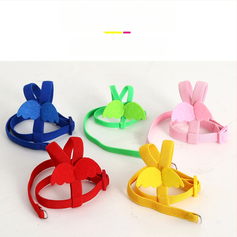 Prekogranično leteće uže za amazonsku papigu, misteriozni remen za vjetar, božur, izvan elastične leteće uže za pticu, igračka za ptice