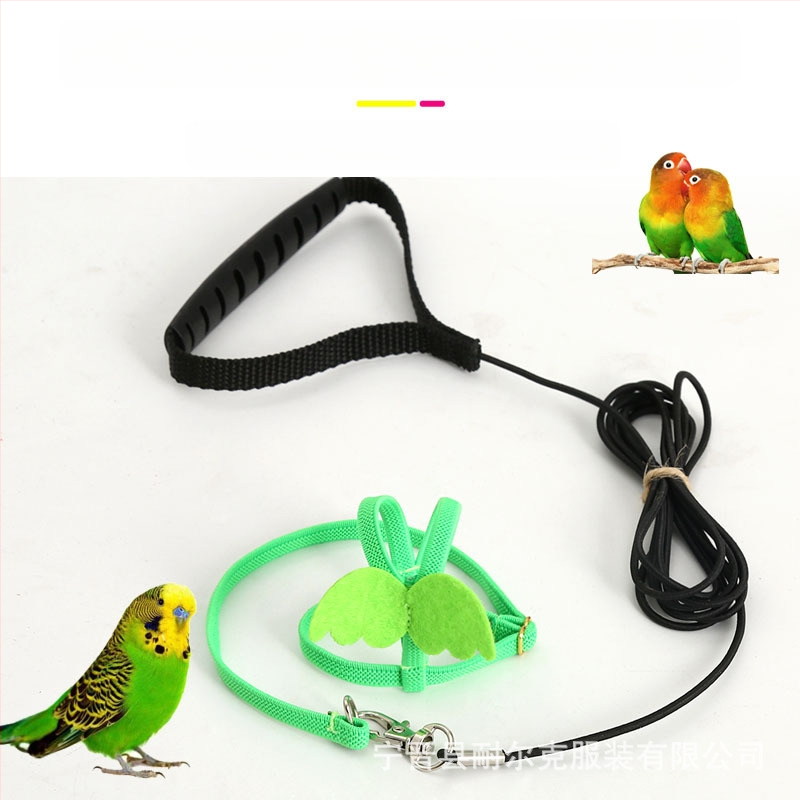 Prekogranično leteće uže za amazonsku papigu, misteriozni remen za vjetar, božur, izvan elastične leteće uže za pticu, igračka za ptice