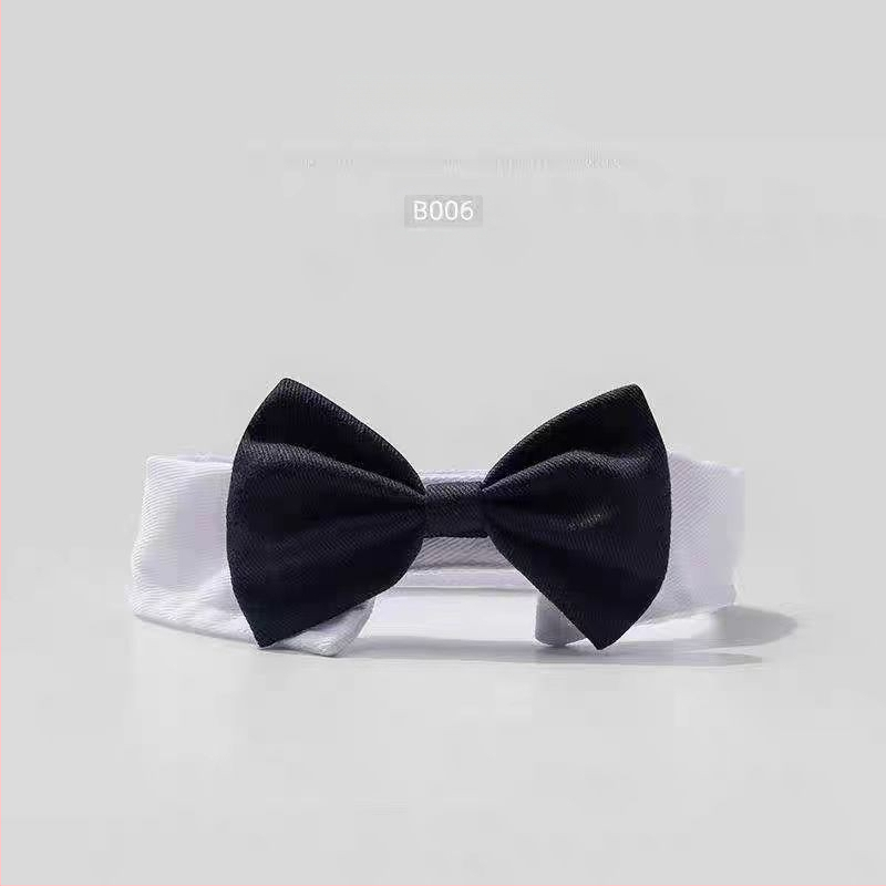 Интернет Celebre Котка Домашни любимци Куче Хари Потър Магическо наметало Колежанско наметало Малко кучешко наметало Хелоуин наметало