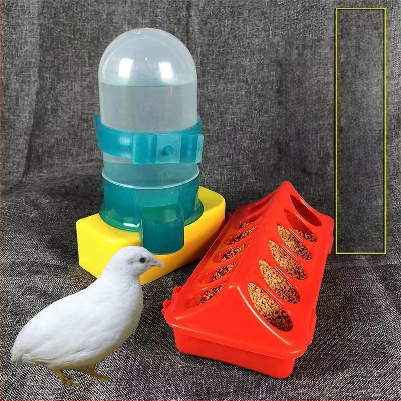 Rutino viščiukų lovio automatinis girdykla viščiukų lovis viščiukų putpelių automatinis girdykla