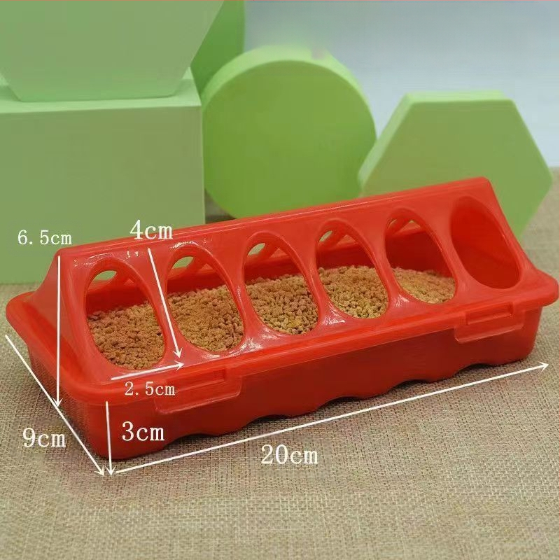 Rutino viščiukų lovio automatinis girdykla viščiukų lovis viščiukų putpelių automatinis girdykla