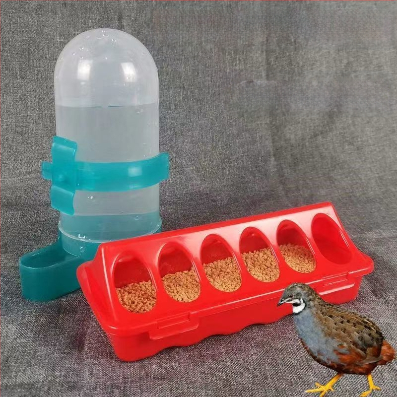 Rutino viščiukų lovio automatinis girdykla viščiukų lovis viščiukų putpelių automatinis girdykla