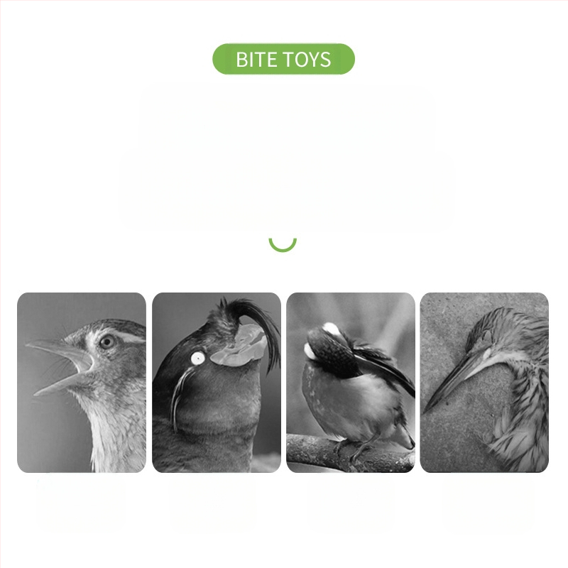 Играчка за папагали, тигрова кожа, божур, сюанфенг, клетка за дъвчене и катерене за птици, стълба, платформа, люлка, принадлежности за домашни любимци