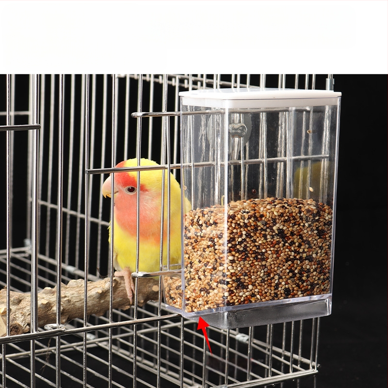 Tigrisbőr pünkösdi rózsa kakadu madáreledel-doboz fröccsenésgátló fröccsenésgátló automata etető új etető átlátszó madáretető