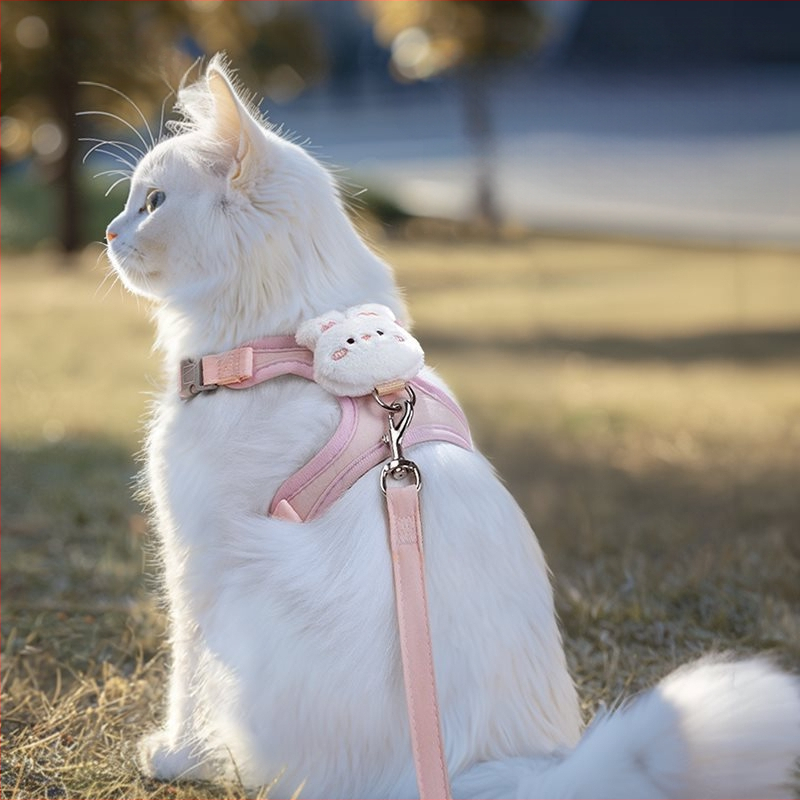 Kassi veojõuköis väljaminev purunemisvastane kassiköis spetsiaalne artefakt rinnal ja seljal, I-kujuline vestirihm, veojõuköis