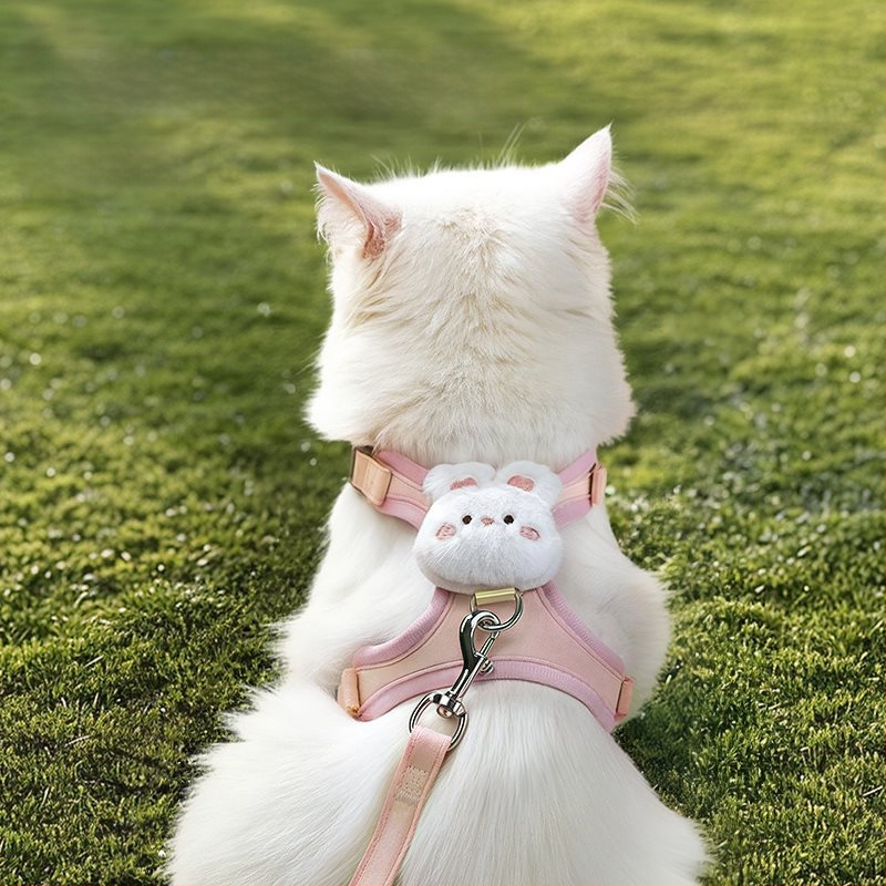 Kassi veojõuköis väljaminev purunemisvastane kassiköis spetsiaalne artefakt rinnal ja seljal, I-kujuline vestirihm, veojõuköis