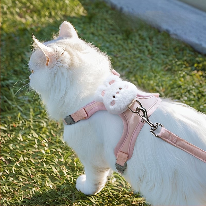 Kassi veojõuköis väljaminev purunemisvastane kassiköis spetsiaalne artefakt rinnal ja seljal, I-kujuline vestirihm, veojõuköis