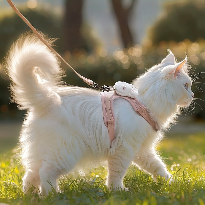 Kassi veojõuköis väljaminev purunemisvastane kassiköis spetsiaalne artefakt rinnal ja seljal, I-kujuline vestirihm, veojõuköis