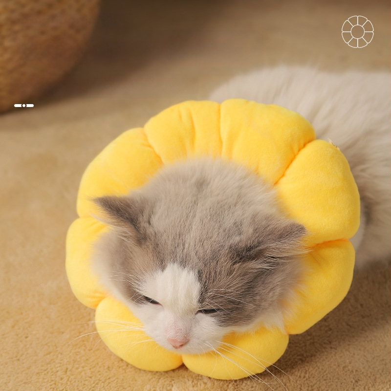 Нашийник за домашни любимци Sunflower Elizabeth Нашийник за котки Elizabeth Нашийник за кучета Стерилизиран нашийник против облизване