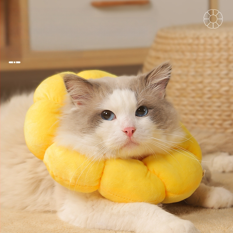 Нашийник за домашни любимци Sunflower Elizabeth Нашийник за котки Elizabeth Нашийник за кучета Стерилизиран нашийник против облизване