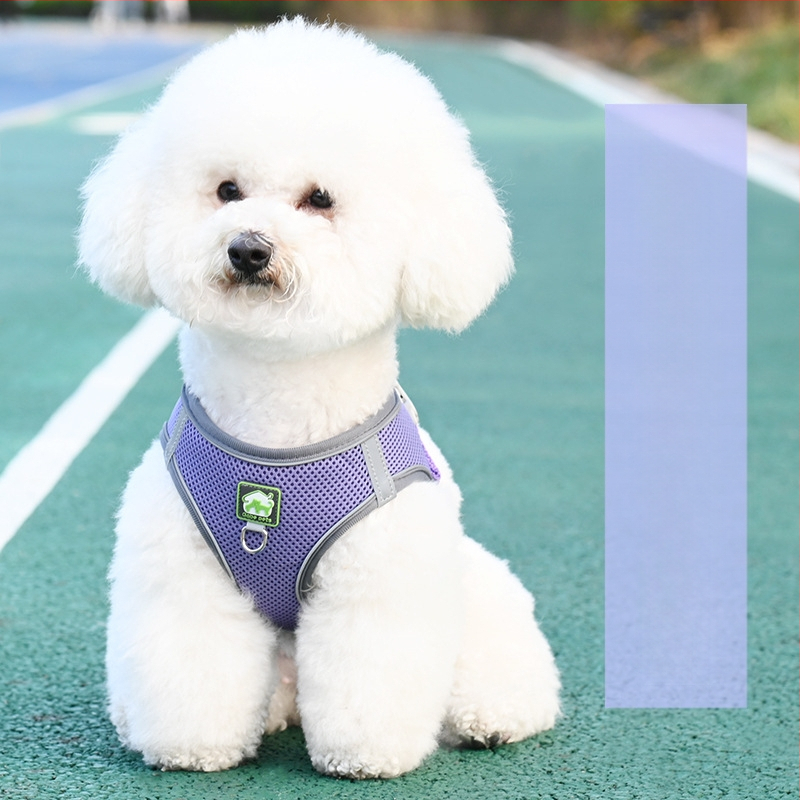 Жилетка за кучешка каишка, светлоотразителна каишка за гърди с плюшено мече Bimi, верига за разходка с куче