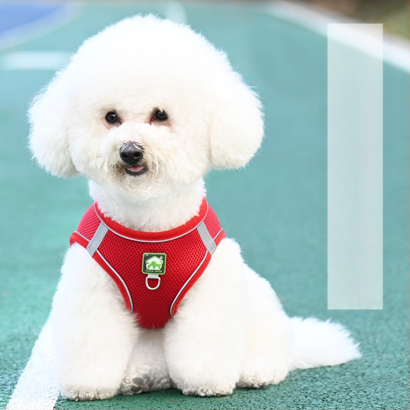Жилетка за кучешка каишка, светлоотразителна каишка за гърди с плюшено мече Bimi, верига за разходка с куче