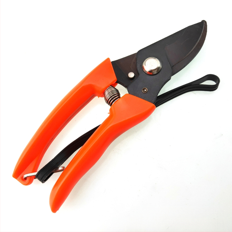 Tarpvalstybinės karšto pardavimo 702 pakabinamos virvės daugiafunkcinės vielos geležinės žirklės sodininkystės gėlininkystės sodo šakos nerūdijančio plieno genėjimo žirklės