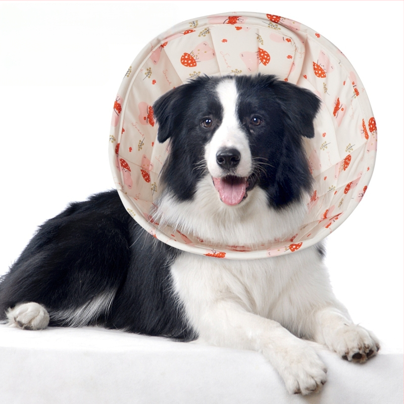 Нашийник за домашни любимци Elizabeth Нашийник за котки и кучета Шапка за кучета против облизване и хапане Elizabeth Нашийник за домашни любимци в британски стил