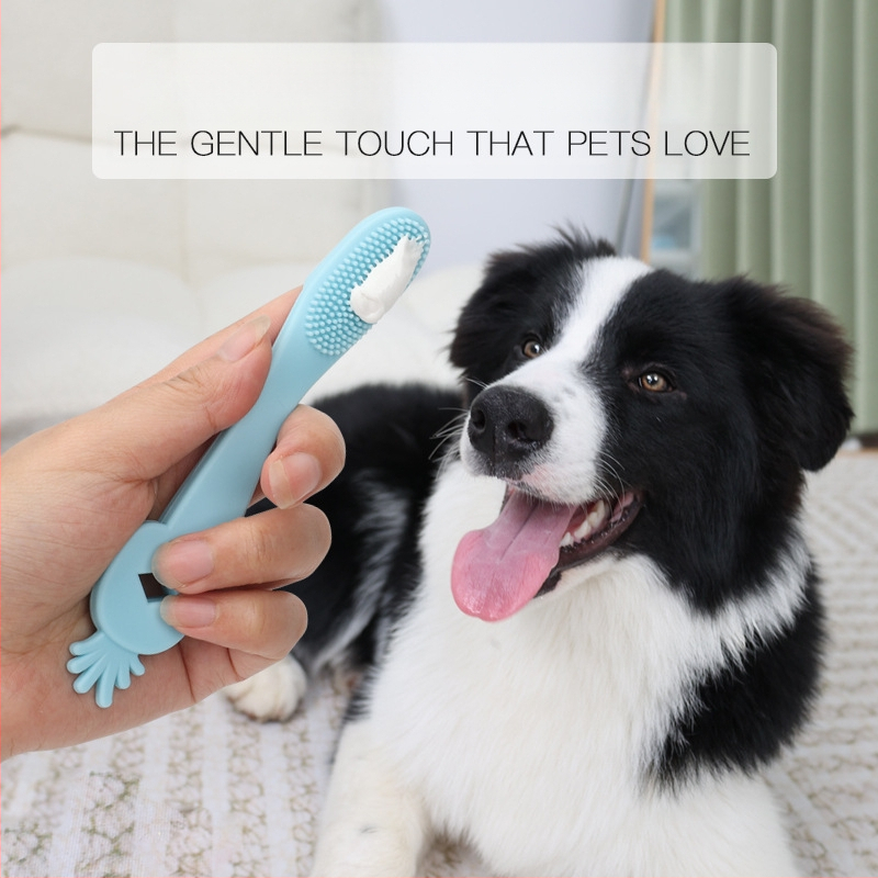 Διασυνοριακή οδοντόβουρτσα για κατοικίδια, στοματικό καθαρισμό δακτύλων για γάτες, οδοντόβουρτσα για γάτες, σετ δακτύλων για σκύλους, οδοντόβουρτσα για σκύλους, είδη χονδρικής για κατοικίδια