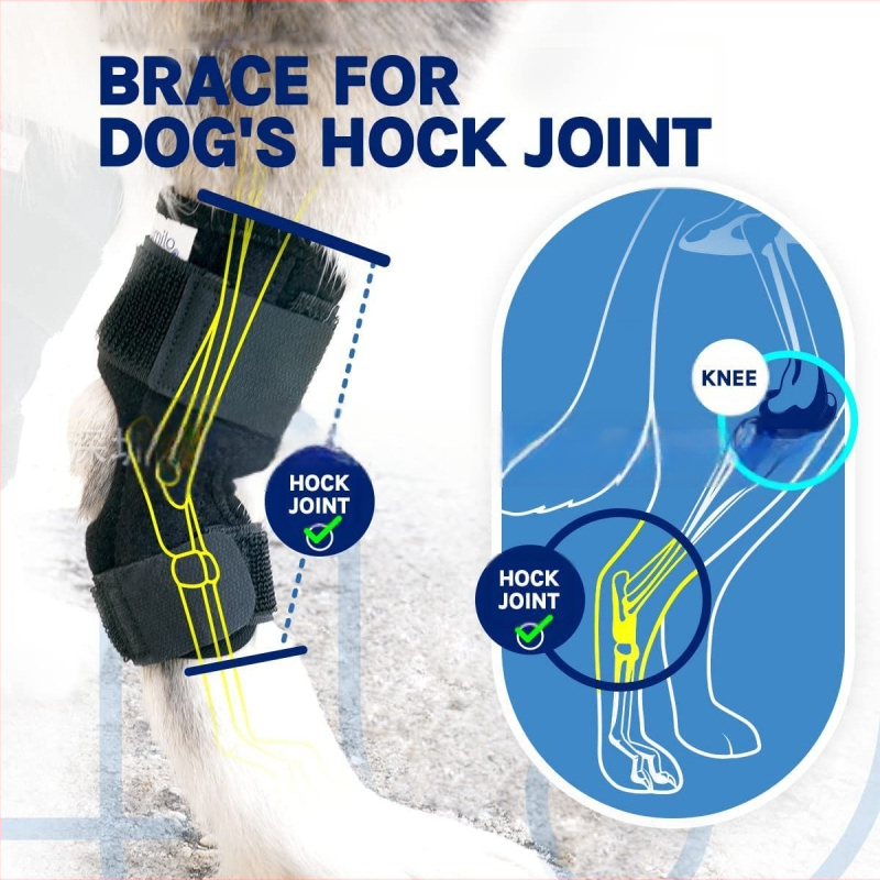 Zaštitna oprema za kućne ljubimce, zaštitna navlaka za noge za postoperativnu ozljedu noge, potpora za iščašenje koljenskog zgloba psa za potporu za koljeno psa