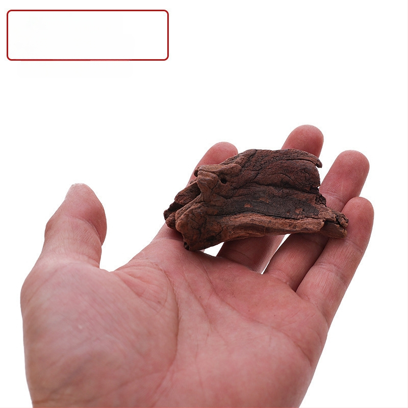 Akvārijs Ūdens Zāle Ainava Driftwood Escape Koku Sakņu Māksla Dekoratīvs Mazs Dagwood