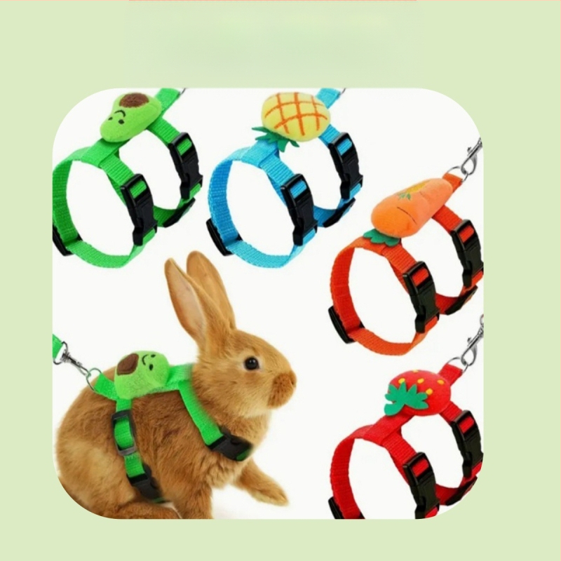 Jänese veojõuköis armas I-kujuline kassjänese rinnal seljal lemmiklooma veojõuköis välja kõndiv jäneseköis laos hulgimüügis