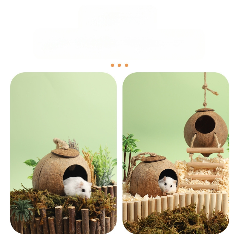 Cuib de hamster, adăpost cu coajă de nucă de cocos, produse de răcire pentru peisaj de vară, cuib de dormit pentru urs auriu, casă cu flori, ramură de șoarece, cuib de jucărie