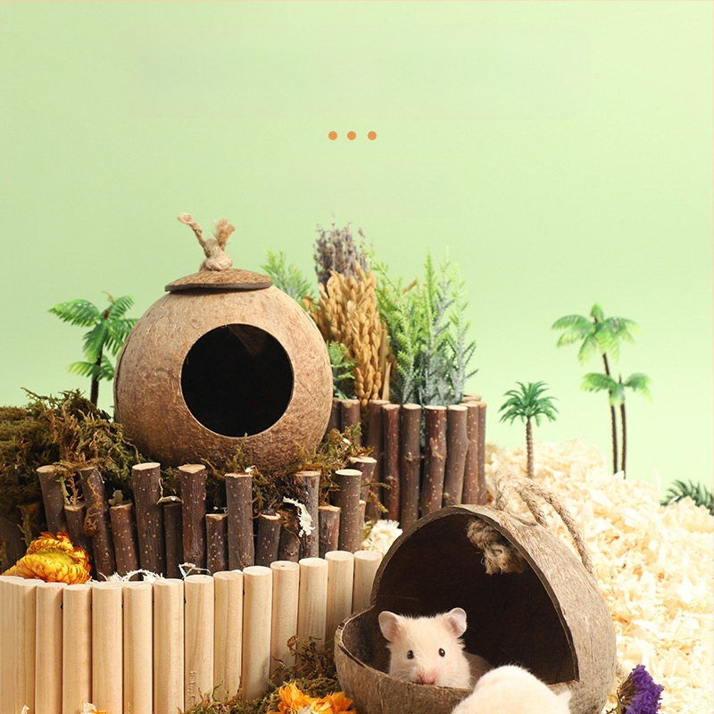 Cuib de hamster, adăpost cu coajă de nucă de cocos, produse de răcire pentru peisaj de vară, cuib de dormit pentru urs auriu, casă cu flori, ramură de șoarece, cuib de jucărie